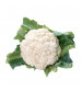 Cauliflower OP Galaxy 10 grams